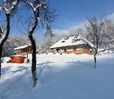 Viseu de Sus House | Casa Berg
