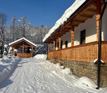 Viseu de Sus House | Casa Berg
