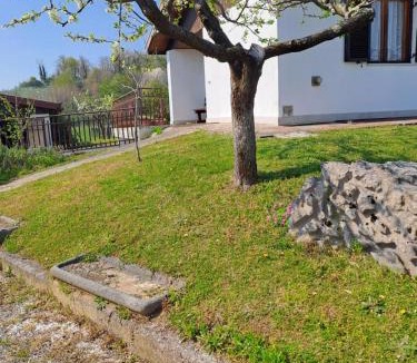Nimis Apartment | Casa Berra