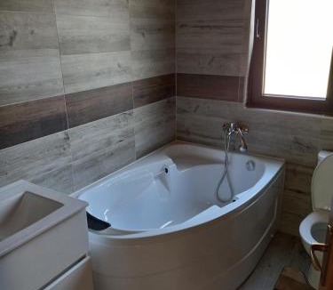 Bistrita Bargaului House | Casa Blaju