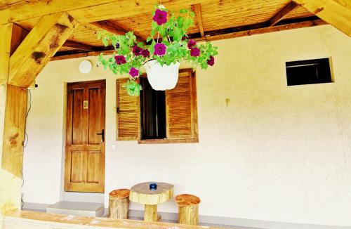 Sasca Montana House | Casa Borcean 2