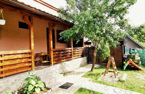 Sasca Montana House | Casa Borcean 2