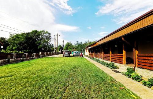 Sasca Montana House | Casa Borcean 2