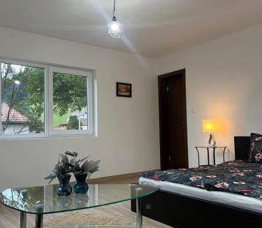 Comiat House | Casa Bradului