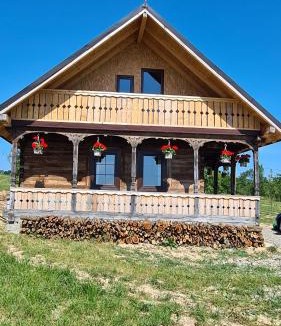 Nanesti House | Casa bunicilor din Oncești