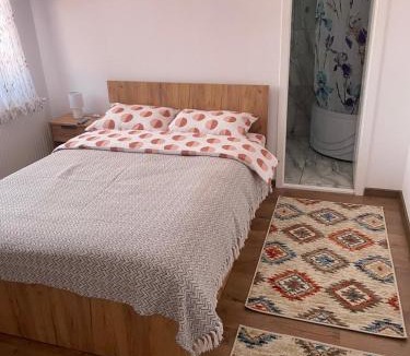 Nucsoara House | Casa Bunicilor