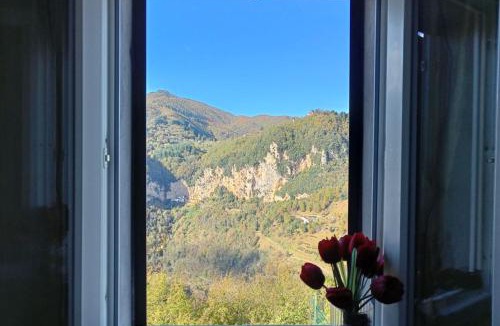 Gallicano Apartment | Casa Butterfly