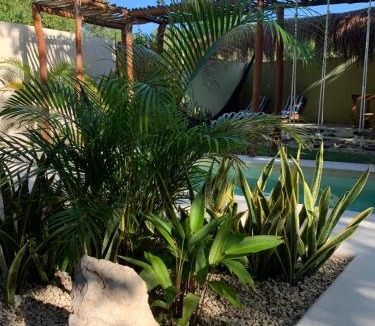 Soliman Bay House | Casa CÅLŪ Cozy & Confortable Jungle House with Pooll
