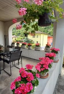 Golino Apartment | Casa Camelia