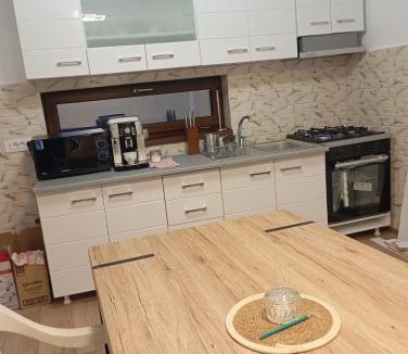 Craiova House | Casa Camelia