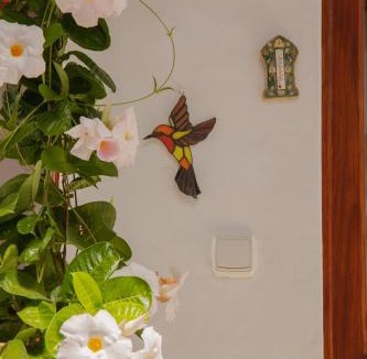 Haria House | Casa Carmen