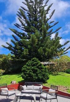 Lagoa Bed & Breakfast | Casa Carmen