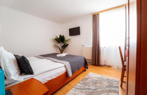Tasnad House | Casa Carol