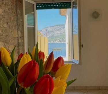 Garda Apartment | Casa Caterina