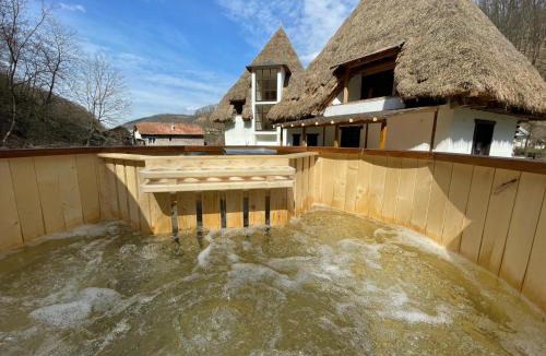 Cristolt House | Casa Catrinei