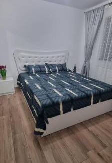 Simnicu de Sus House | Casa CDC