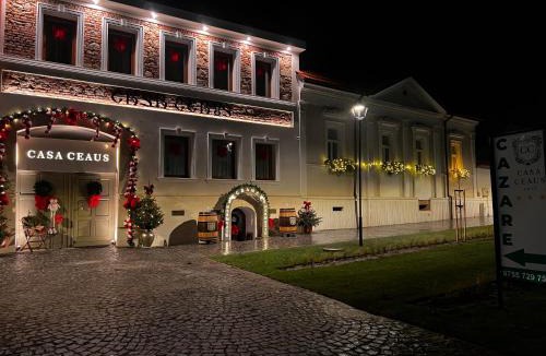 Baia-Sprie House | Casa Ceauș