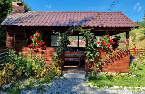 Arieseni Cabin | Casa Cerbu