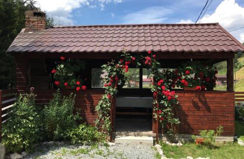 Arieseni Cabin | Casa Cerbu