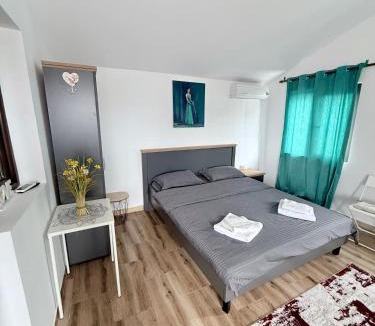 Pantelimon House | Casa Cernica