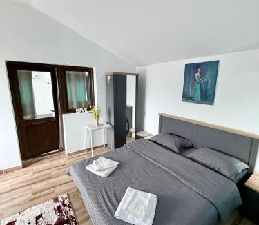 Pantelimon House | Casa Cernica