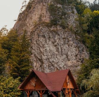 Dambovicioara House | Casa Cheile Dâmbovicioarei - Cabana 1