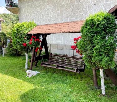 Moieciu House | Casa Cojanu