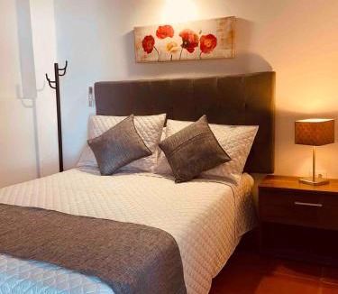 Santa Cruz de Mompox Apartment | Casa colonial Centro Histórico - Puerta Azul