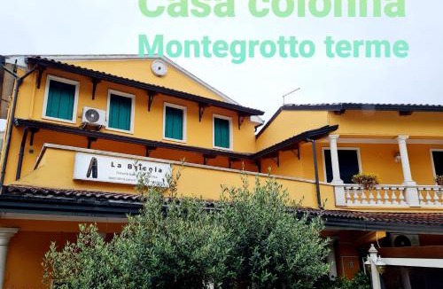 Montegrotto Terme Apartment | Casa Colonna Montegrotto terme