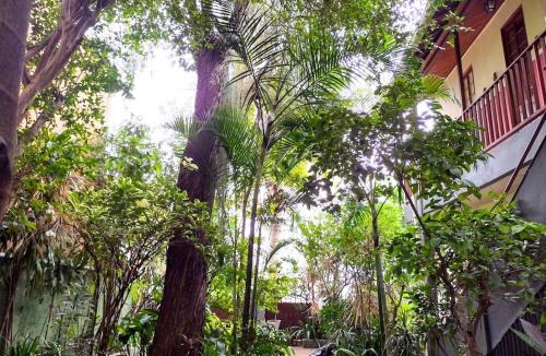 Santa Teresa Villa | Casa com mini floresta, a paz ao lado do Centro