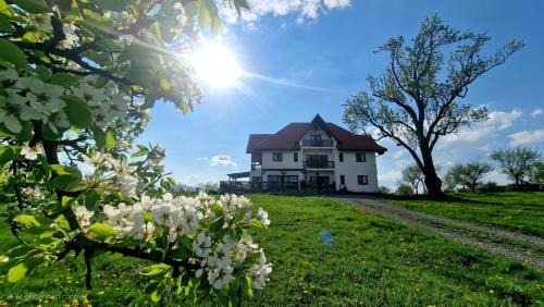 Sisesti Bed & Breakfast | Casa Comilor