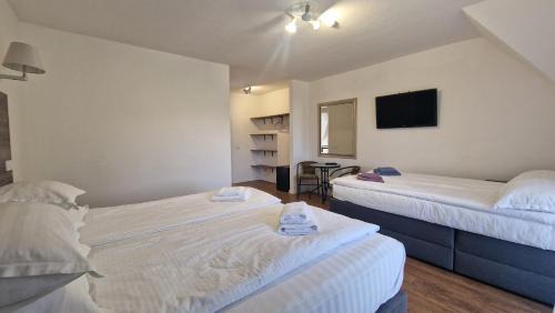 Sisesti Bed & Breakfast | Casa Comilor