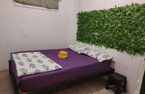 Golfito House | Casa Concha Golfito