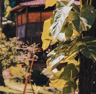 Itacare Hostel | Casa Conduru