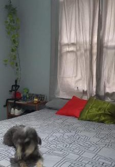 Jarderlandia Resort | Casa COP30