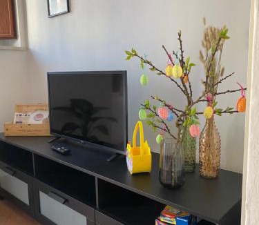 Lucca Apartment | Casa Corte Papa