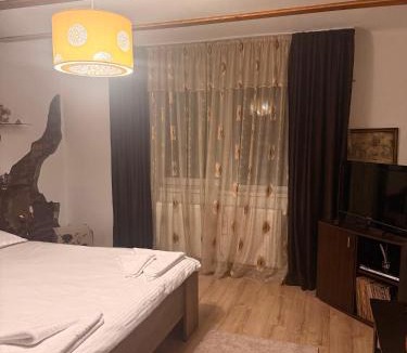 Dobra House | Casa Cosmin