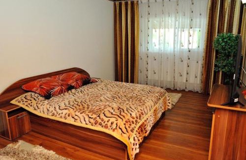 Bradu Apartment | Casa Cri și Ramo
