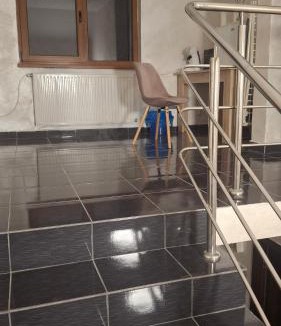 Alba Iulia House | Casa cu brad
