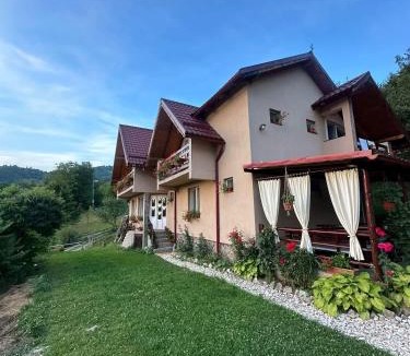 Vidra House | Casa cu Muscate