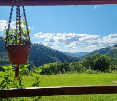 Vidra House | Casa cu Muscate