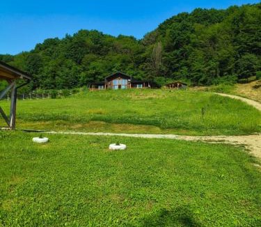 Gura Vitioarei Cabin | Casa cu Pădure