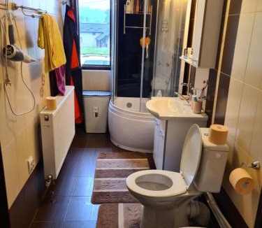 Stulpicani Villa | Casa cu Steag