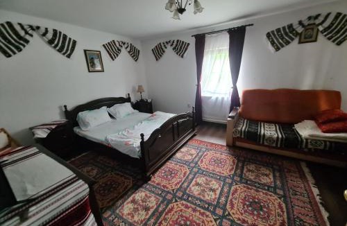 Stulpicani Villa | Casa cu Steag