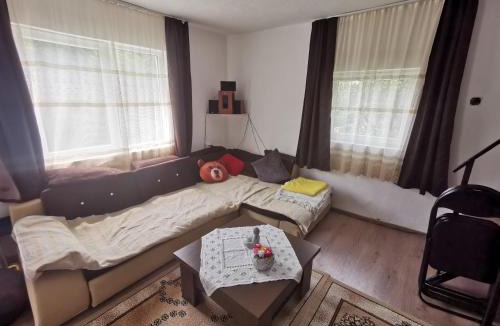 Seini House | Casa cu veverițe