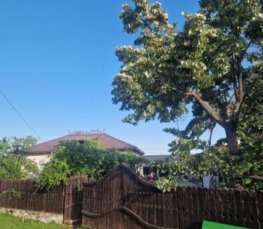 Samburesti House | Casa Cuca Macai