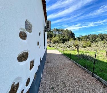 Arega House | Casa da Bivó