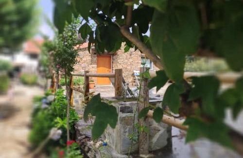 Pinheiro de Coja House | Casa da Eira