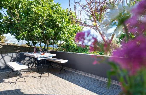 Arco da Calheta House | Casa da Mãe do Raivinha