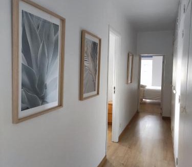 Paredes de Coura House | Casa da Mata